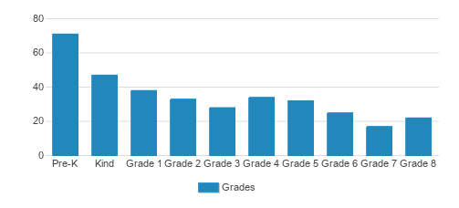 The Montessori School Of San Antonio Student By Grade 