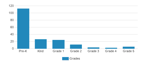 Center For Learning Inc Student By Grade 