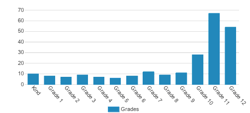 Orion International Academy Student By Grade 