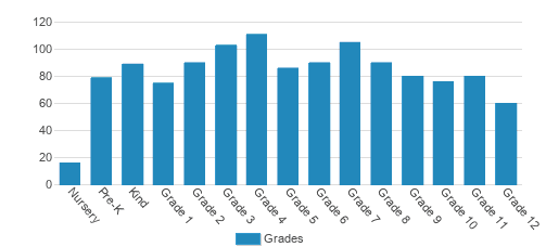 American Youth Academy Student By Grade 