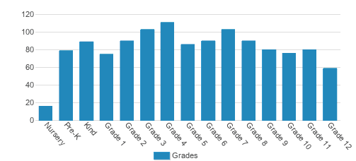 American Youth Academy Student By Grade 