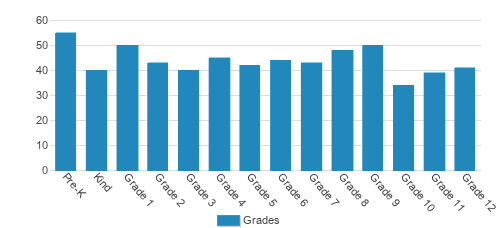 NFC Academy Student By Grade 
