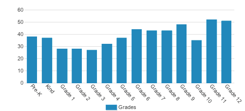 Pinecrest Academy Student By Grade 
