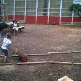 Alabama Waldorf School Photo #5 - Studies show that young children learn through play.