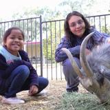 Dobson-montessori School Photo #10 - Care of animals teaches respect and responsibility for the natural world.