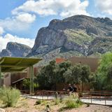 Pusch Ridge Christian Academy Upper School Photo - The campus is situated at the base of the Catalina Mountains.