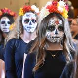 St. Michael's School Photo #8 - St. Michael's integrates local culture and traditions with celebrations and presentations of student learning, including the annual Dia de los Muertos chapel. Ofrendas with pictures of lost loved ones (human and pets) are displayed amongst the sugar skeletons and marigolds.