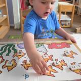 Desert Sky Montessori Photo #4