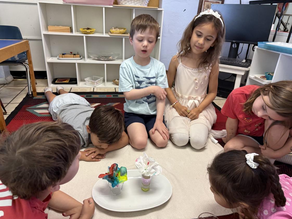 Desert Sky Montessori Photo #10