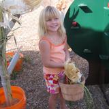 Valley Child Care Photo #6 - FALL HARVEST