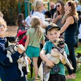 All Saints Day School Photo #6 - Our school community is built on warmth, friendship, and active involvement. From Hot Lunch parents serving meals to room parents organizing celebrations, everyone plays a part in creating a vibrant atmosphere. Events like the Fall Festival and our annual Pet Blessing bring families together, fostering a strong sense of belonging and support at All Saints.