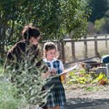 All Saints Day School Photo #3 - Our Organic Garden not only offers a multitude of activities and some amazing pizzas coming out of our wood fired pizza oven, but is also used by as a cross-curricular classroom.