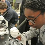 The Berkeley School Photo - 7th grade science lab.