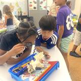 Black Pine Circle School Photo #23 - 4th Graders Examining Coral