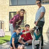 Bridges Academy Photo #6 - In addition to our social emotional counselors, dogs on campus support emotional regulation, reduce anxiety, and build a sense of belonging. Sometimes learning starts with feeling safe and a wagging tail helps make that happen.