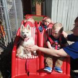 Bettendorf KinderCare Photo - Infants go for a spring ride