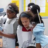 Hosanna Christian Academy Photo #7 - Middle School Science Class