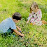 Geneva Day School Photo - Students revel in our sprawling green campus. We are a conscientious Maryland Green School with a passion for Nature.