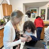 Grace Christian Academy Of Waldorf Photo #9 - Hands-on science lessons in our middle school science lab.