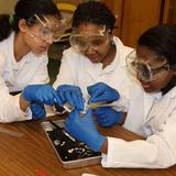 Takoma Academy Preparatory School Photo #5 - Science lab dissection