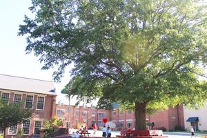 St. Bartholomew Catholic School Photo