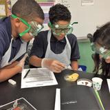 St. Martin of Tours School Photo #2 - Recently renovated state-of-the-art Science Lab, including a 3-D printer.