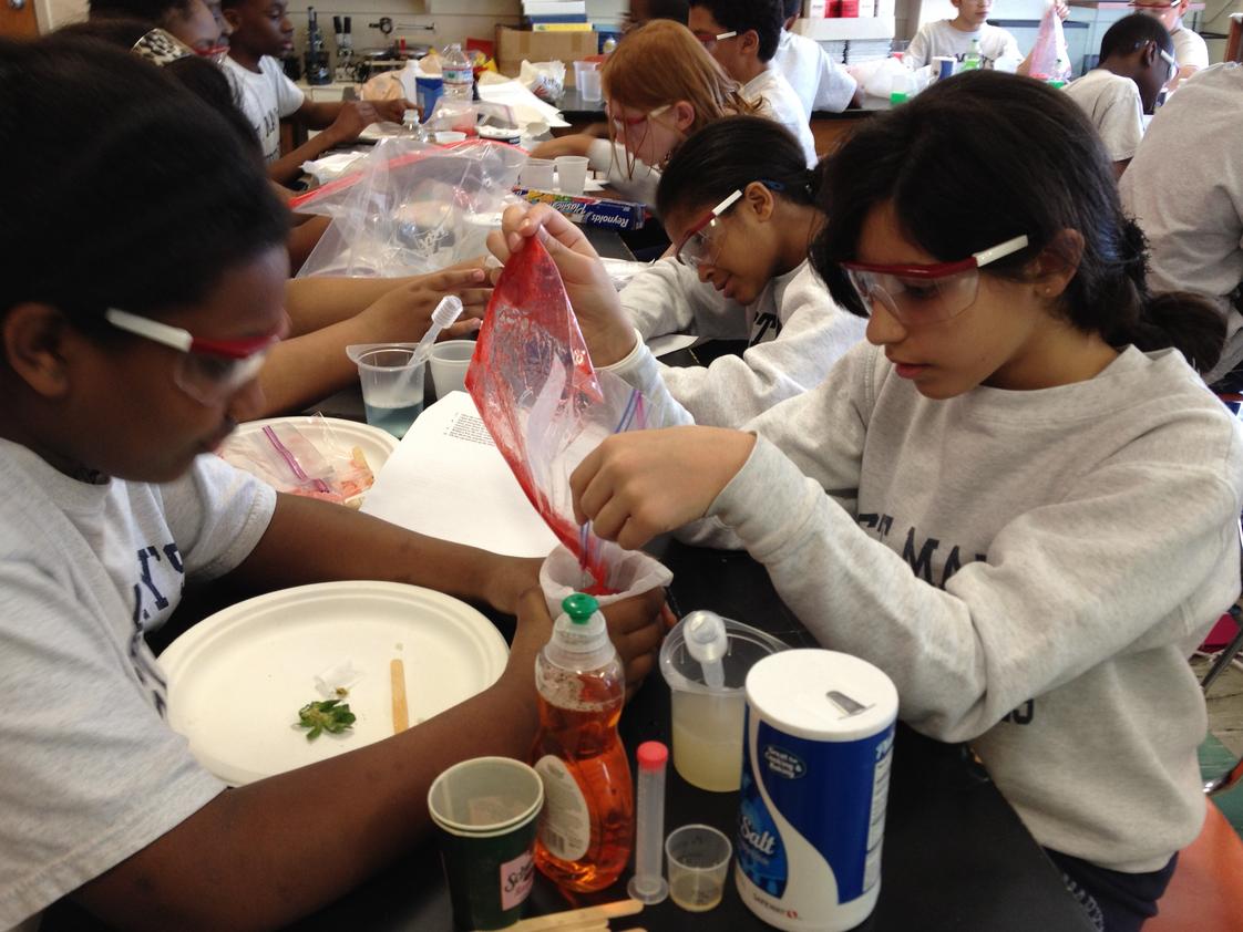 St. Mary's School Photo #1 - Discovering DNA with strawberries