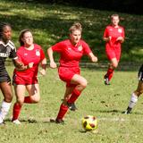 Washington Waldorf School Photo #7 - Member of the Potomac Valley Athletic Conference. Cross Country, Soccer, Basketball, Swimming, Baseball, Softball.