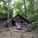 Washington Waldorf School Photo #4 - Forest kindergarten option.