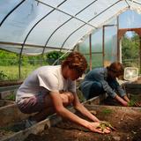 Buxton School Photo #4 - Sustainability on campus has been an important element of the biology curriculum for the past several years. Each year, the garden expands in area and more vegetables and varieties are planted. In the fall, the garden supplies the kitchen with some home-grown ingredients, and the bounty is presented in a harvest dinner for the school community.