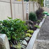 King's Wood Montessori School Photo #8 - Our peaceful garden, nestled within the playground, offers students a quiet space to pause, reflect, and connect with nature - nurturing inner calm and mindfulness through daily outdoor moments.
