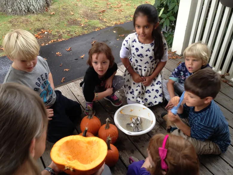 Shrewsbury Montessori School Photo #2 - Children's House students learn about seeds in Gardening class.