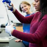 Phillips Academy Andover Photo #5 - The Growth Mindset-Students work with cutting edge tools; have opportunities for independent research, and collaborate with working scientists, on and off campus.