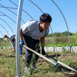 Tabor Academy Photo #10 - From hydroponics and greenhouses to community service gardening, the hands-on learning and community life at Tabor is wide-ranging and enriching.