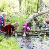 Waldorf School of Lexington Photo #4 - At WSL, young children do not spend the day behind desks. They are outdoors nearly every day, engaged in hands-on exploration and direct observation of the natural world.