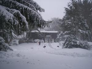 Wooded Acres Child Care LLC Photo