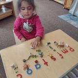 Christian Montessori School Of Ann Arbor Photo #19 - Beginning sound matching group 1 work.