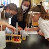 Ave Maria Academy Photo #8 - 8th grade students working in the Science Lab.