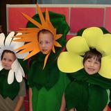 Grace Lutheran School Photo - Each year students present a play during the last week of school.