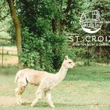 St. Croix Montessori Photo