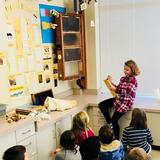 Rohan Woods School Photo #4 - Our indoor Observation Beehive gives all our students a chance to learn about life cycles and work duties --and gain an appreciation of the role honeybees play in our environment.
