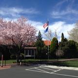 Brookfield School Photo - Spring blooms for students at Brookfield School. Reno - NV
