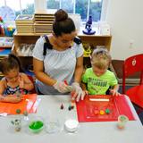 Apple Montessori School Of Towaco Photo