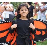Friends School Mullica Hill Photo #8 - Each year, the students learn about the lifecycle of the monarch butterfly. Students in the lower school then celebrate releasing the butterflies with a parade.