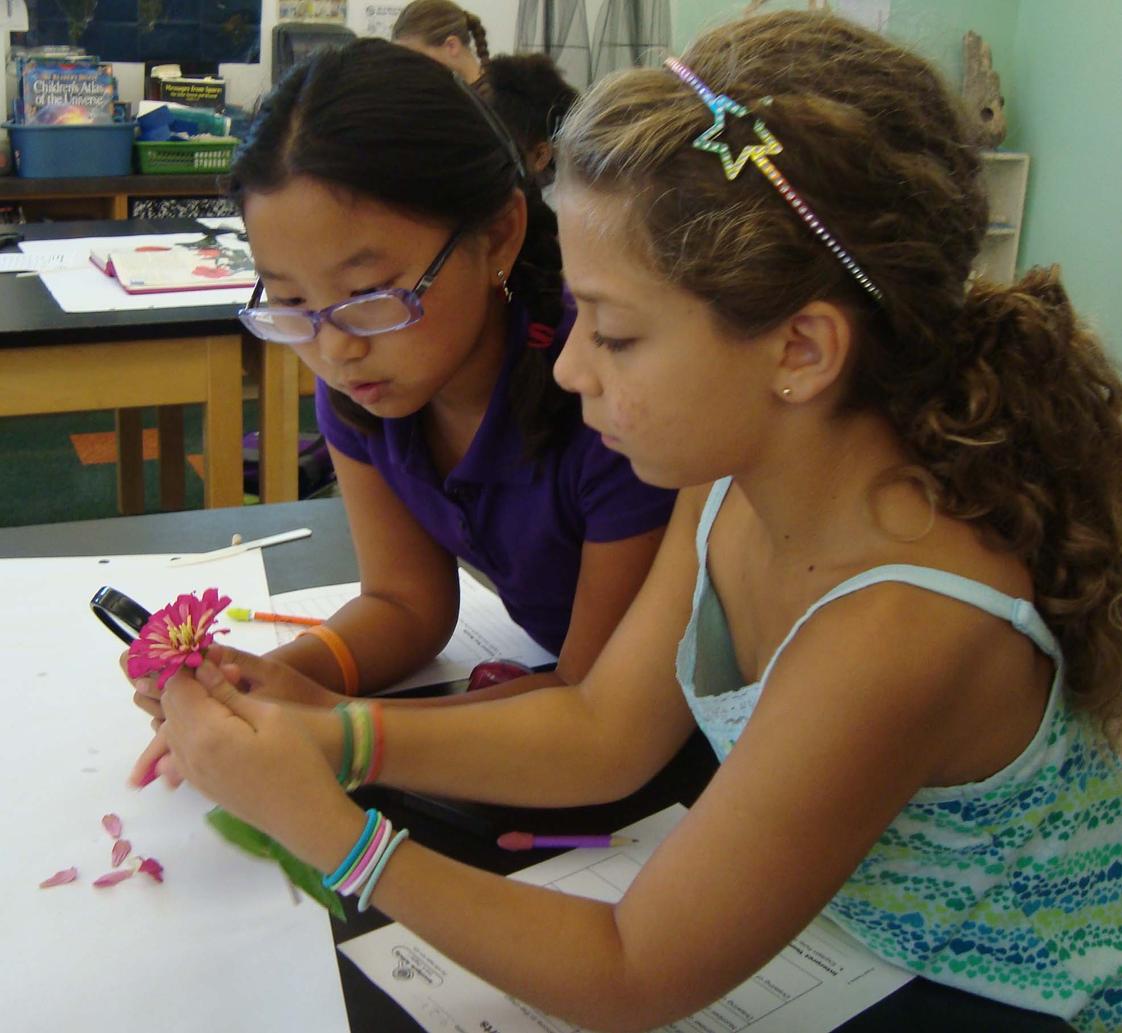 Friends School Mullica Hill Photo - At Friends School Mullica Hill we value hands-on learning. We have two science labs; here are two students disecting a flower in one of our labs.