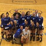 Donovan Catholic High School Photo #8 - 2016 Girls Volleyball Team - Non-Public A Tournament Semi-Finalists