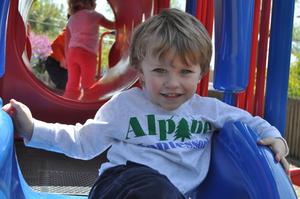 Alpine Montessori of Millburn Photo