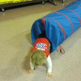 The Academy For Children Photo #5 - Tunnel fun in the gym! We use the gym upstairs when the weather does not permit us to go outside. We have scooters, Cozy Coupe Cars, pop up play yards, parachutes and balls. Plus lots more.....