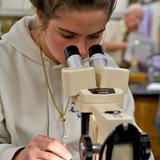 Sandia Preparatory School Photo #7 - We offer a unique array of rigorous, honors-level courses that challenge and motivate, including genetics and microbiology.