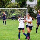 Buckley Country Day School Photo #8 - Three-season athletics in Buckley's Upper School builds teamwork, resilience, confidence, and a strong sense of belonging.